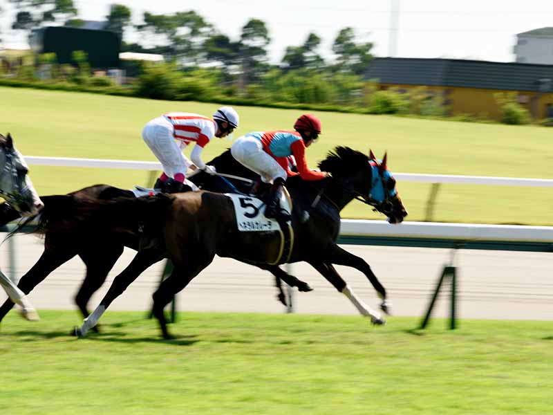重賞レース一覧 | 競馬の競走内容データベース | レーケン